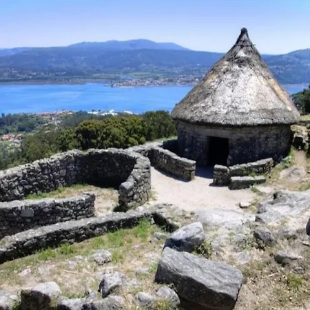 O Sono Arbores A Guarda