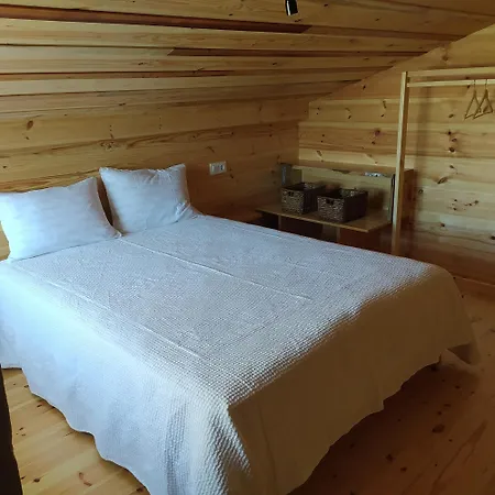 O Sono Arbores A Guarda