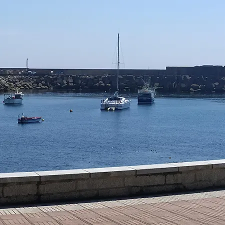 O Sono Arbores A Guarda