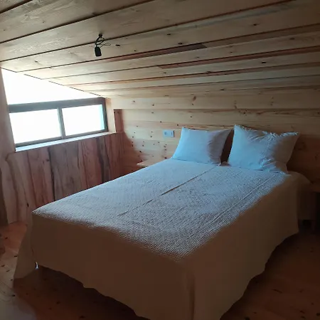 O Sono Arbores * A Guarda