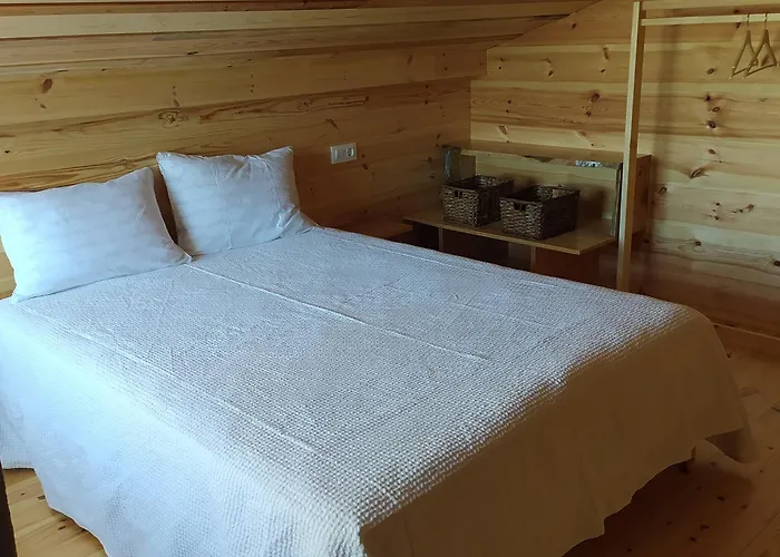 O Soño árbores A Guarda