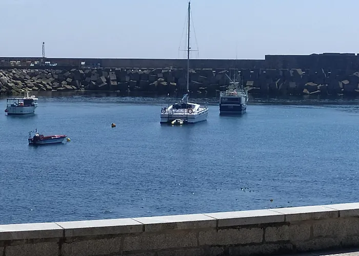 O Soño árbores A Guarda