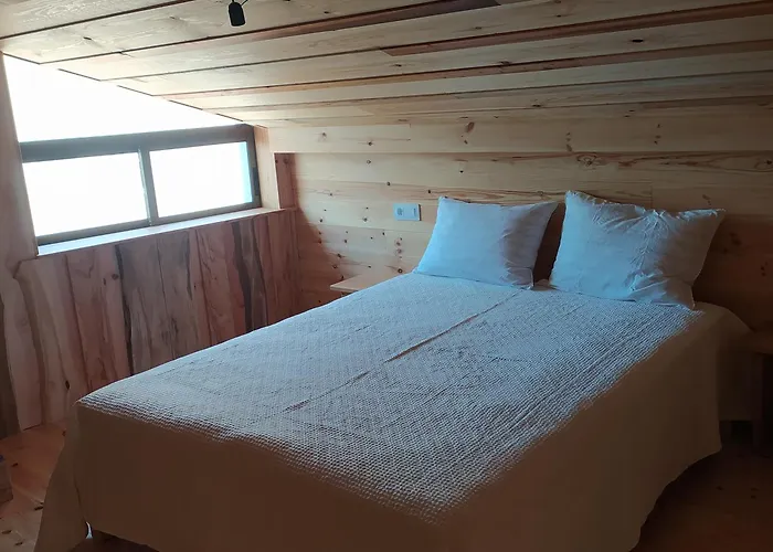 O Soño árbores * A Guarda